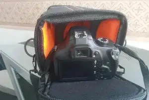 stock
