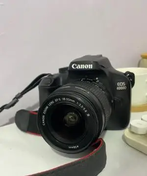 stock
