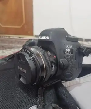 stock