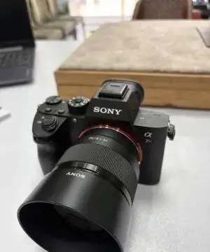 stock
