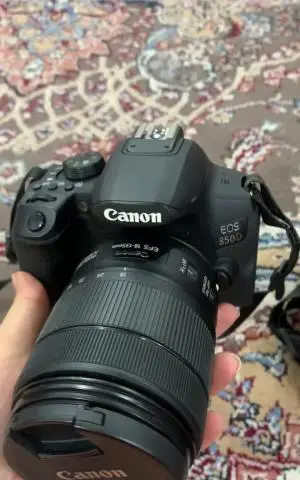stock