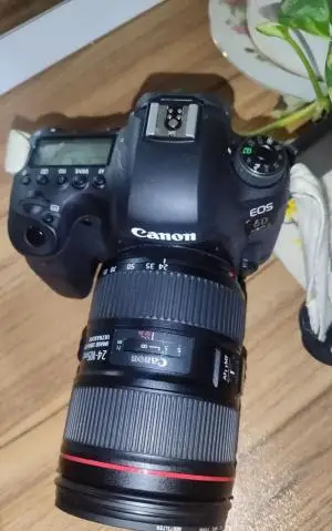 stock