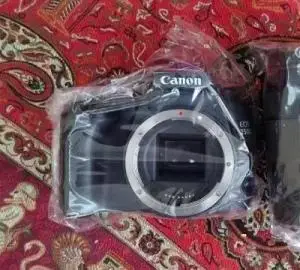 stock