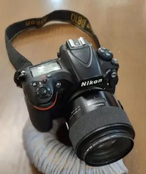 stock