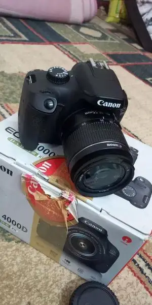 stock