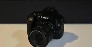 stock