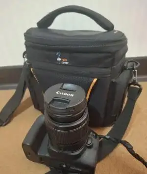 stock