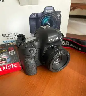 stock