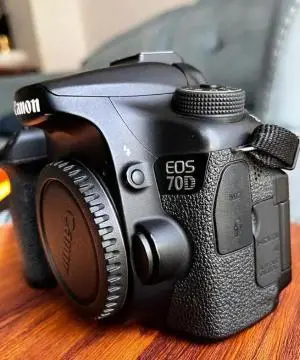 stock