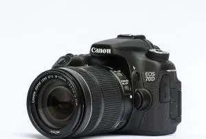 stock