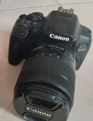 stock