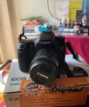 stock