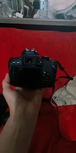 stock