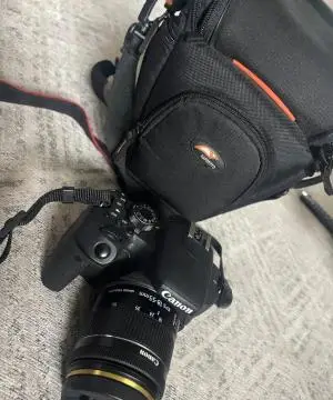 stock