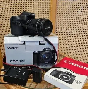stock