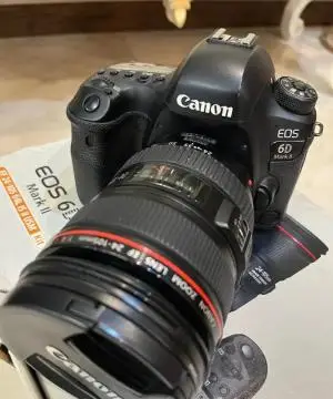 stock