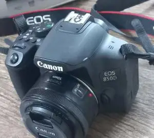 stock