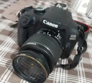 stock