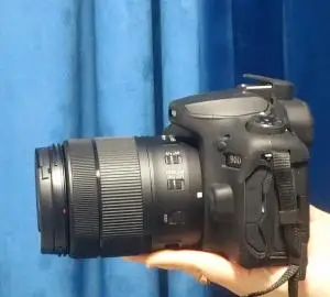stock