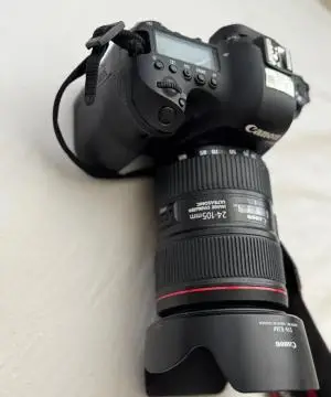 stock