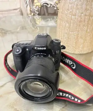 stock