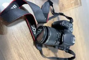 stock