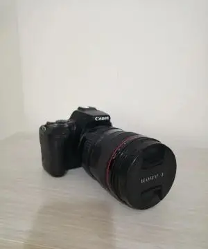 stock