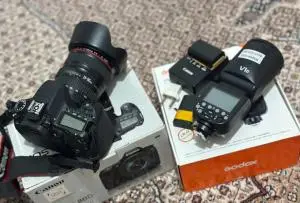 stock