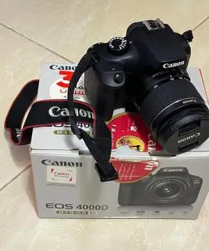 stock