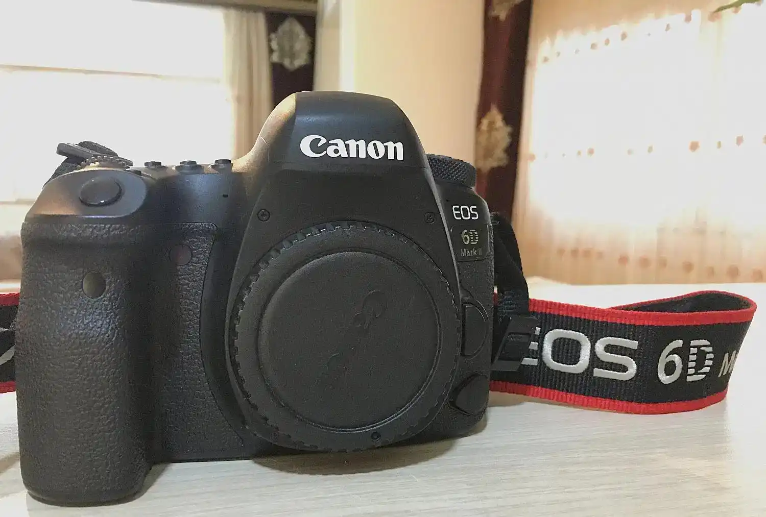 دوربین عکاسی کانن Canon EOS 6D Mark II Body دست دو