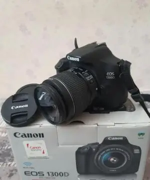 stock