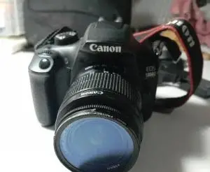 stock