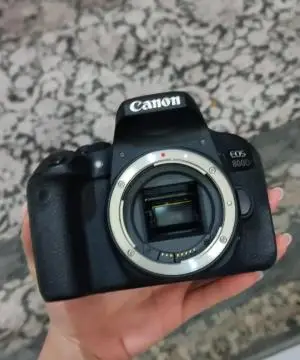 stock
