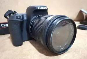 stock