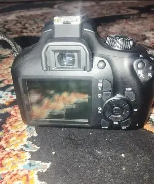 stock