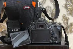 stock