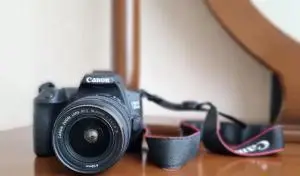 stock
