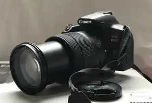 stock