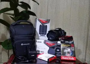 stock