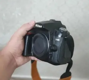 stock