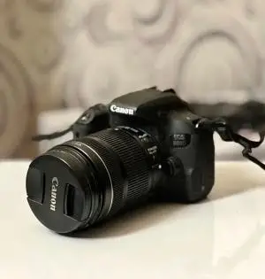 stock