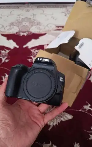 stock