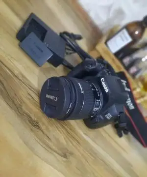 stock