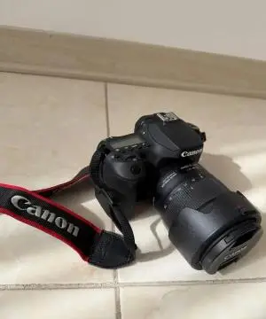 stock