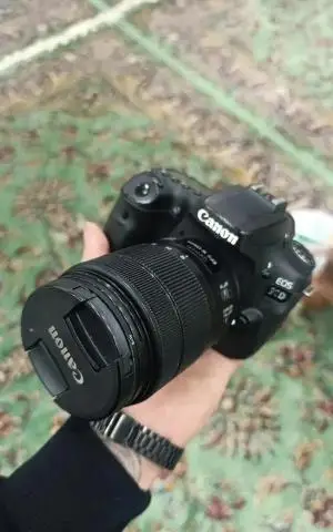 stock