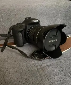stock