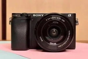 stock