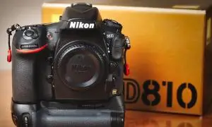 stock