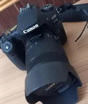 stock