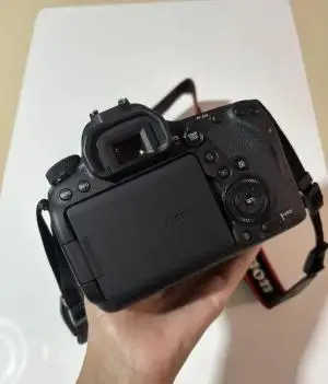 stock
